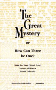 Nazzi Plurality in the Godhead Trinity
